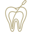 Endodontia